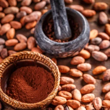 organic cocoa beans 2026 01 08 05 49 59 utc scaled e1770397297768